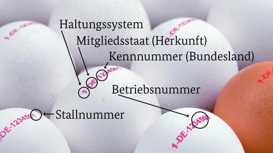 Kennzeichnung von Eiern