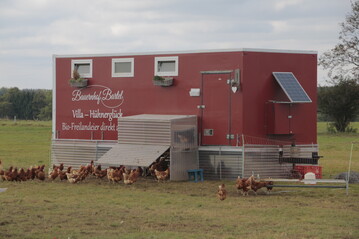 Beispiel fr einen optisch ansprechenden Umbau eines Khlkoffers, bei dem sogar die komplette Flche unter dem Wagen fr eine zweite Ebene genutzt wird, so dass ca. 200 Hennenpltze realisiert wurden. Die Paneele mssen beim Umsetzen natrlich hochgeklappt werden, verbleiben aber zumindest am Wagen.