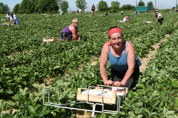  Das Netzwerk der Spargel- und Beerenverbnde e.V. hat unter rund 1000 Spargel- und Beerenbetrieben eine Umfrage zur Saison 2021 durchgefhrt. Die Ergebnisse sind auf den nachfolgenden Bildern zu finden. Das Netzwerk der Spargel- und Beerenverbnde e.V. hat unter rund 1000 Spargel- und Beerenbetrieben eine Umfrage zur Saison 2021 durchgefhrt. Die Ergebnisse sind auf den nachfolgenden Bildern zu finden. 