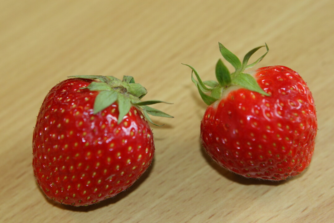 Erdbeeren vom Produzenten vor der Haustr schmecken am besten, da sie reif sind. Dies erkennt man daran, dass sie keine hellen Spitzen oder "Schultern" mehr aufweisen. 