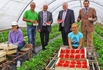 Saisonstart in Südbaden: Nach dem langen Winter hat der Beginn der Erdbeersaison schon beinahe etwas Feierliches: (v.l.) Pflückerin Agnieszka Kukietka; Landwirt Martin Ziegler; Franz Josef Müller, Präsident des Baden-Württembergischen Landesverband Erwerbsobstbau; Joachim Hauck, Ministerialdirektor im MLR und Michael Roßmann, OGM-Geschäftsführer. Sitzend rechts: Vorarbeiterin Josefa Marek.