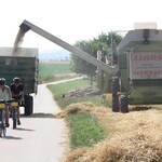 Strampeln oder dreschen: Unter der sengenden Sonne ist in den frühen Lagen Baden-Württembergs, wie hier bei Vaihingen/Enz, die Getreideernte mit Wintergerste angelaufen.