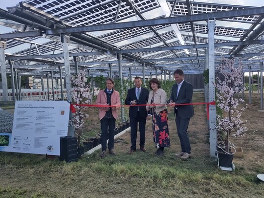 Auf dem Obstversuchsgut Heuchlingen der LVWO Weinsberg wurde die dritte Pilotanlage derModellregion Agri-PV Baden-Wrttemberg eingeweiht.