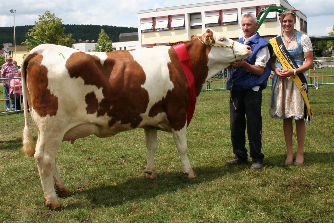 Eutersiegerin wurde die Siwil-Tochter Disilla von Hansjrg Schilling, Wennenden.