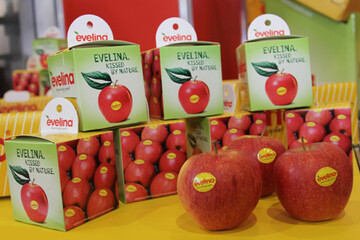 Mit innovativen Verpackungen soll die Aufmerksamkeit der Kunden an der Ladentheke auf den Clubapfel Evelina gelenkt werden.