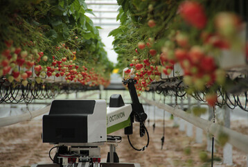 Auf der expoSE in Karlsruhe stellt die Firma Octionion Agriculture ihren Erdbeer-Pflckroboter vor. 