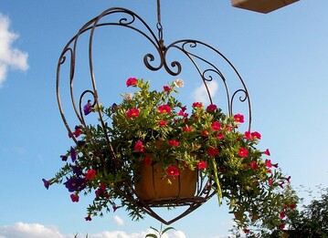 Hanging Baskets knnen ein echter Blickfang sein.