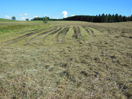 Bedingt durch die groen Niederschlagsmengen war der Untergrund mancher Grnlandflche so stark vernsst, dass Fahrspuren in nur kurzen Erntefenstern nicht ausblieben. Im Frhherbst sollten diese Narbenschden nun behoben werden.
