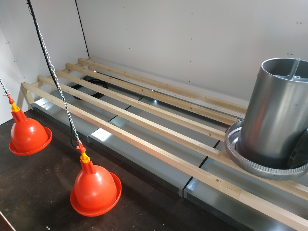 Hier sind mehrere Fehler im Bild: Die Kotgrube hat keine Roste, so sind Hennen und Kot nicht getrennt. Die Sitzstangen bestehen aus einfachen Kanth�lzern. Deren Querschnitt ist zu gro�, die Tieren k�nnen sie nicht richtig umgreifen. Die Kanten sind nicht gebrochen. Fu�ballengeschw�re sind vorprogrammiert. Auch die Futterglocke ist zu scharfkantig.