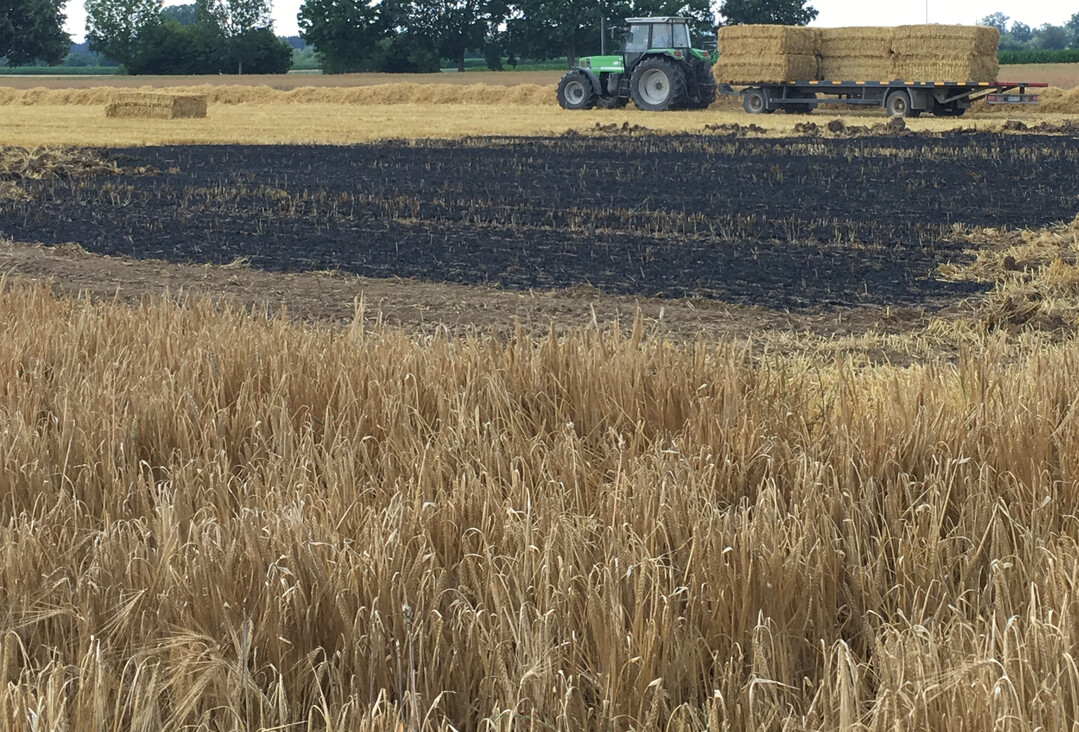 Selten, dass ein Feuer so schnell gelöscht werden kann. Oftmals brennen mehrere Hektar ab.