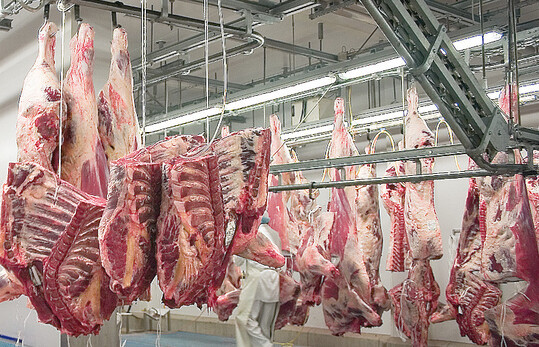 Fr Rindfleisch ist der Absatzmarkt in der Gastronomie und der Auer-Hausverpflegung ebenso wie der Export nach Frankreich und Italien komplett weggebrochen.