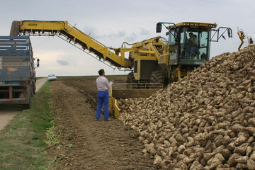 Der Unternehmer ist dafür verantwortlich, dass sowohl der Verlader als auch der Fahrer die Lademenge einhalten.