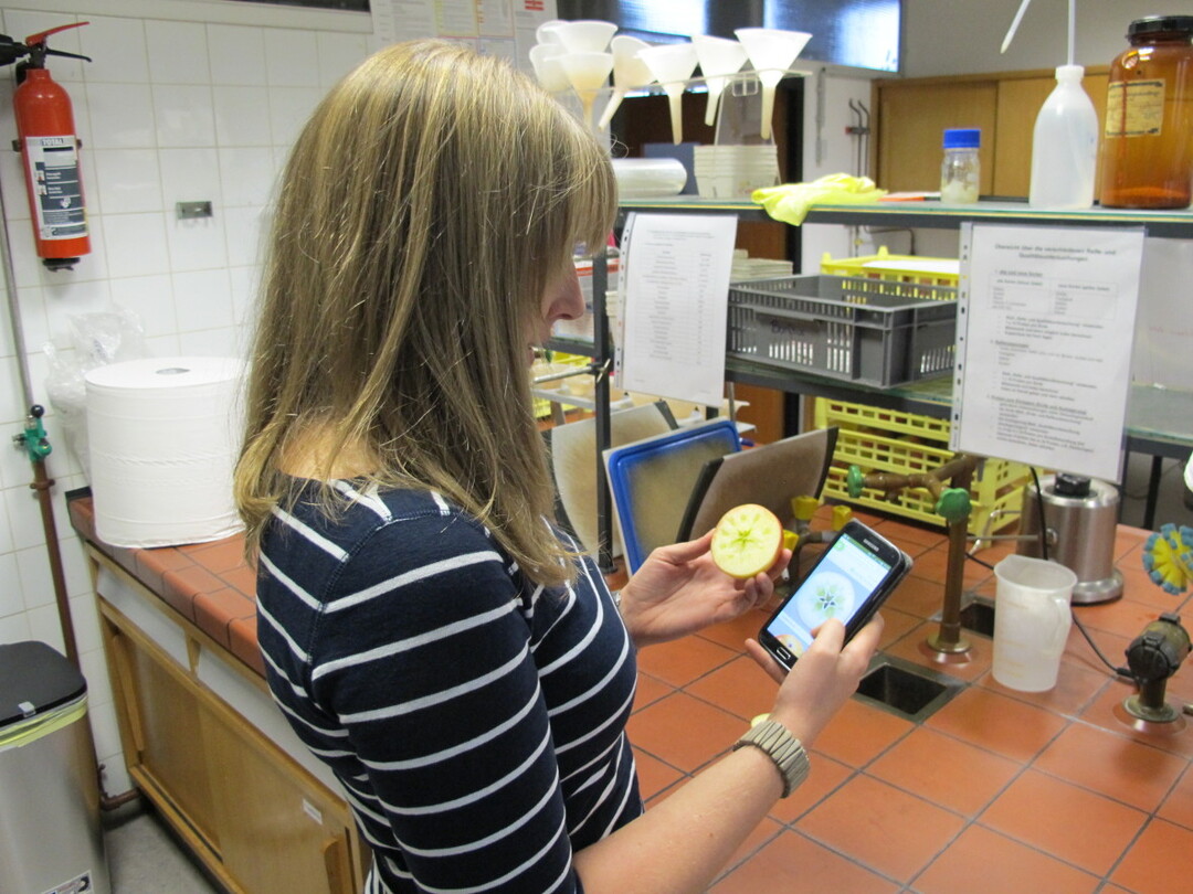 Mit der neuen, kostenlosen App Frudistor lassen sich Lagerschden einfacher bestimmen und dann gegebenfalls Abhilfe schaffen. 