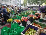 Prächtige Erntegaben, gestiftet von den Marktbeschickern für einen gemeinnützigen Zweck