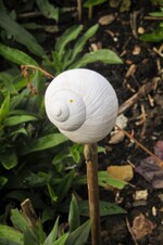 Im Garten von Marianne Schönle