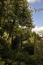 Im Rosengarten von Hannelore und Roland Birkel