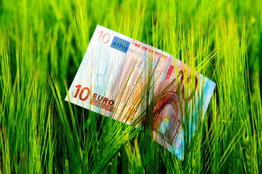 Umfangreiche Beihilfenpakete sollen den Tierbestandsabbau in der niederlndischer Landwirtschaft sozial abfedern.