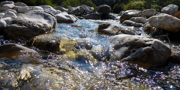 In Wasserschutzgebieten ist auf den Einsatz von Chloridazon-haltigen Rübenherbizidenn-haltigen Rübenherbiziden aus aus Gründen des Grundwasserschutzes völlig zu verzichten.