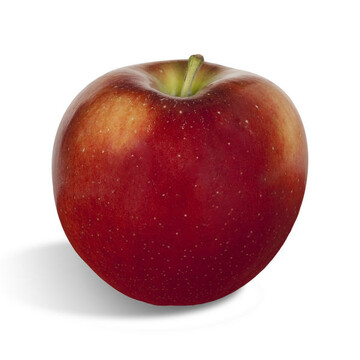 Gemini ist eine von fnf neuen Apfelsorten, die das italiensiche Baumschulkonsortium CIV gezchtet hat. 