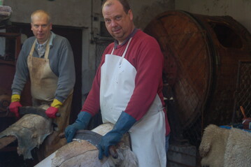 Gerbermeister Manfred Oettrich verarbeitet Tierhute zu schnen Fellen und Leder.
 