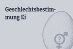 Die CDU/CSU-Bundestagsfraktion begrüßt die geplante Änderung des Tierschutzgesetzes zur Tötung von Hühnerembryos.