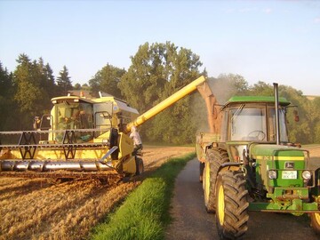 Zum Wettlauf mit den Regengssen wurde die Getreideernte auch in Hohenlohe