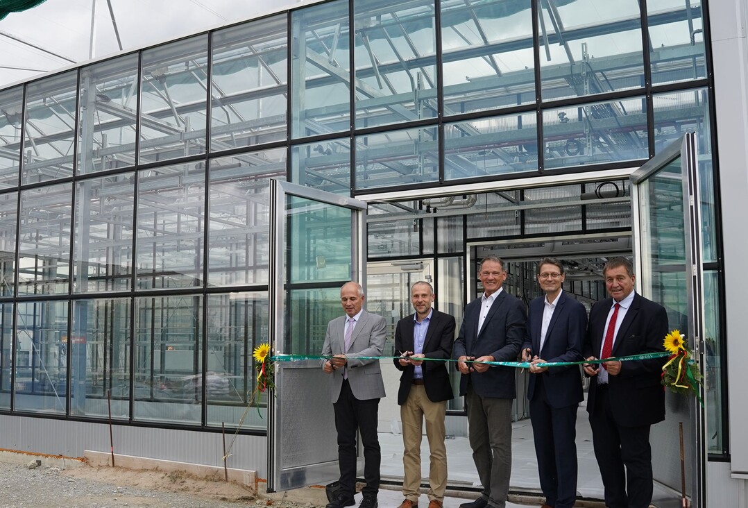 Eröffnung des neuen Gewächshauses: v.l.: Norbert Thiex-Mayer (Aufsichtsrat DSV), Dr. Eike Hupe (Vorstand DSV), Thomas Böhmfeld (Leiter Saatzuchtstation Thüle/Salzkotten), Clive Krückemeyer (Vorstand DSV), Friedhelm Hüneke (Aufsichtsrat DSV.