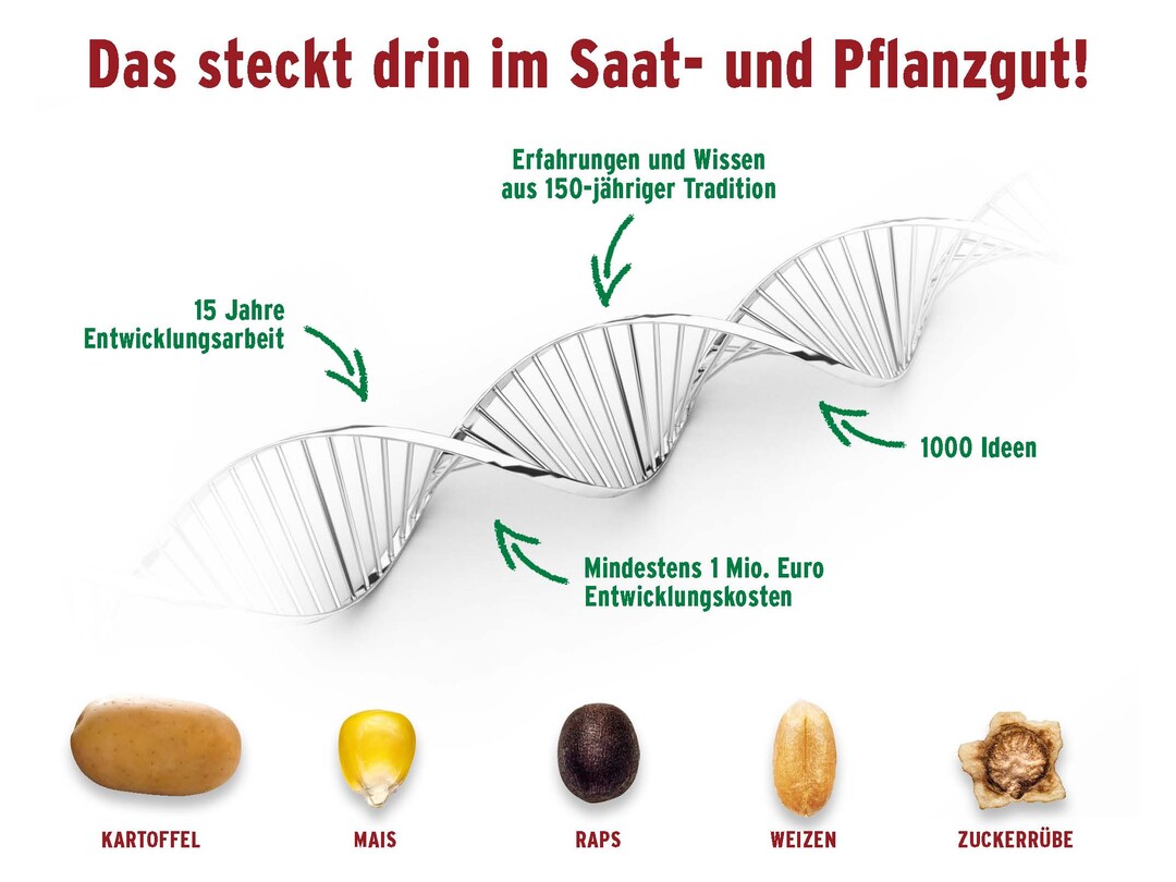 Grafik über die Hintergründe von Saat- und Pflanzgut.