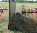 Bei der Grünlandbewirtschaftung sind die Leistungsreserven noch nicht ausgeschöpft. Für die Wissenschaft daher ein interessantes Terrain.