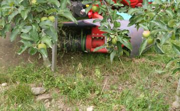 Nach dem Aus fr Basta ist eine neue Unkrautbekmpfungsstrategie fr bewuchsfreie Baumstreifen im Obstbau ntig. Eine Mglichkeit ist die Kombination von chemsichen Mitteln mit mechanischen Manahmen wie dem Fadengert. 