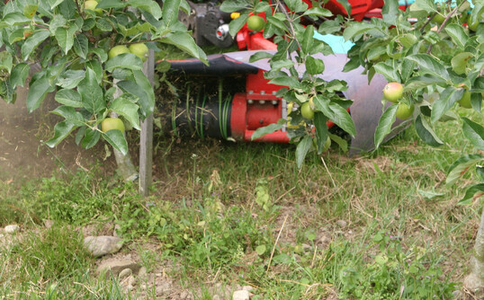 Nach dem Aus fr Basta ist eine neue Unkrautbekmpfungsstrategie fr bewuchsfreie Baumstreifen im Obstbau ntig. Eine Mglichkeit ist die Kombination von chemsichen Mitteln mit mechanischen Manahmen wie dem Fadengert. 
