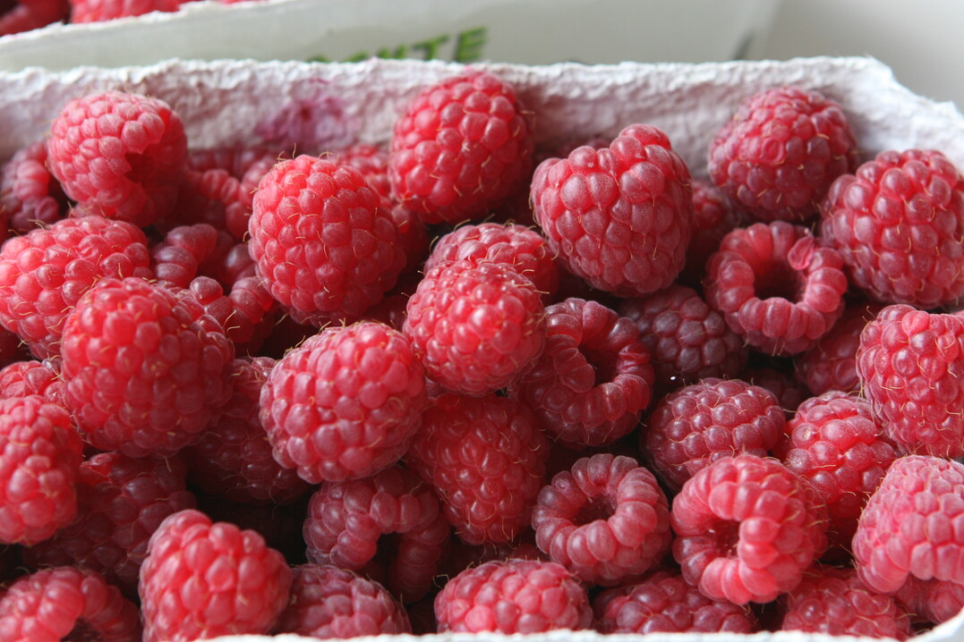 Himbeeren punkten mit vielen wertvollen Inhaltsstoffen. 