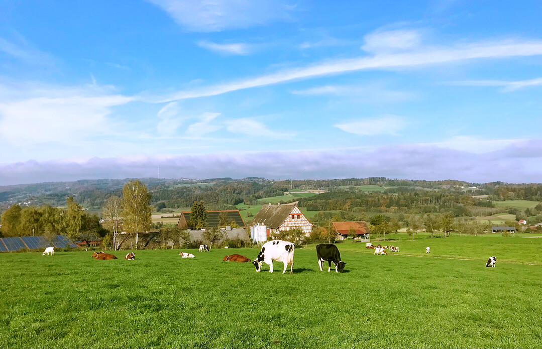 Weiter Blick von der Weide bis hinunter ins Deggenhausertal.