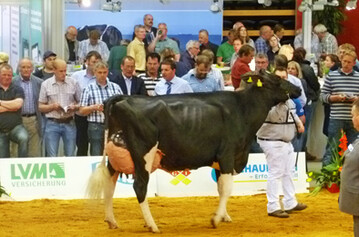 Sid-Tochter Mox Rocky, von der Mock GbR, Markdorf