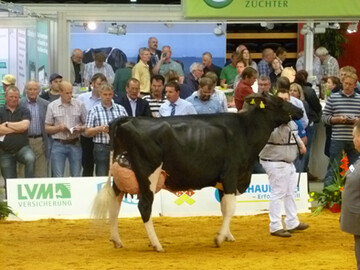 Sid-Tochter Mox Rocky, von der Mock GbR, Markdorf 