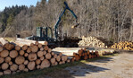 Rundholz gibt es genügend. Man muss es nur richtig nutzen und nachhaltig erzeugen. Ziel ist es, dass Holz vorrangig im Land zu verarbeiten und den Holzbau hierzulande weiter auszubauen.