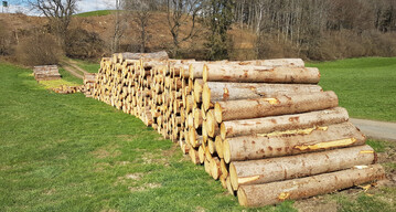  Die Fichte steht durch den Klimawandel extrem unter Druck. Gleichzeitig verteuert und verzgert eine insgesamt mangelnde Verfgbarkeit von Holz viele Bauprojekte. Auch fr die Wirtschaft knnten wichtige Holzverpackungen und Paletten knapp werden. Das Bild zeigt zum Abtransport hergerichtete Fichtenstmme aus Kferholz in Oberschwaben. Dieses Holz knnte unter anderen fr die Palettenherstellung herangezogen werden. In der Region Oberschwaben wird derzeit so ziemlich jedes Holz gut nachgefragt und verkauft. Die Preise im Leitsortiment (Fichte) sind fr gute Qualitten auf 90 Euro pro fm gestiegen. 