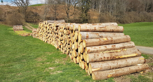    Die Fichte steht durch den Klimawandel extrem unter Druck. Gleichzeitig verteuert und verzgert eine insgesamt mangelnde Verfgbarkeit von Holz viele Bauprojekte. Auch fr die Wirtschaft knnten wichtige Holzverpackungen und Paletten knapp werden. Das Bild zeigt zum Abtransport hergerichtete Fichtenstmme aus Kferholz in Oberschwaben. Dieses Holz knnte unter anderen fr die Palettenherstellung herangezogen werden. In der Region Oberschwaben wird derzeit so ziemlich jedes Holz gut nachgefragt und verkauft. Die Preise im Leitsortiment (Fichte) sind fr gute Qualitten auf 90 Euro pro fm gestiegen.   