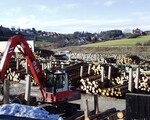 Die Nachfrage nach Nadelrundholz ist ungebrochen gut. Das schlägt sich in den Holzpreisen nieder.