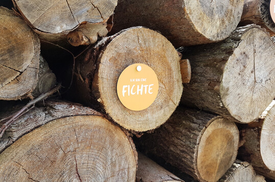 Der Deutsche Säge- und Holzindustrie Bundesverband e.V. (DeSH) warnt vor überzogenen Reduktionszielen beim Klimaschutz und betont die Gefahr für die nachhaltige Holzverwendung in Deutschland. Die Nachfrage nach Holz ist groß. Wegen anziehender Preise müssen angefangene Bauprojekte bereits nachkalkuliert und teilweise auch verschoben werden.