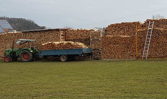 Holz knnte mit dem neu geplanten Gebudeenergiegesetz weiter einen wirksamen Beitrag fr eine klimafreundlichere Wrmeversorgung leisten.