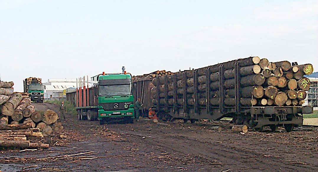 Neben der Modernisierung des Gleisnetzes und der Schaffung von Verladeinfrastrukturen auf der Schiene fordert die AGR auch die generelle Erhöhung des zulässigen Gesamtgewichtes (zGG) von Holztransporten.