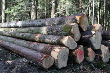 Das Land zieht sich vollstndig aus dem Holzverkauf im Privat- und Kommunalwald zurck. Forstbetriebsgemeinschaften, kommunale Holzverkaufsstellen, Genossenschaften oder auch private Dienstleister sollen die Lcke schlieen.