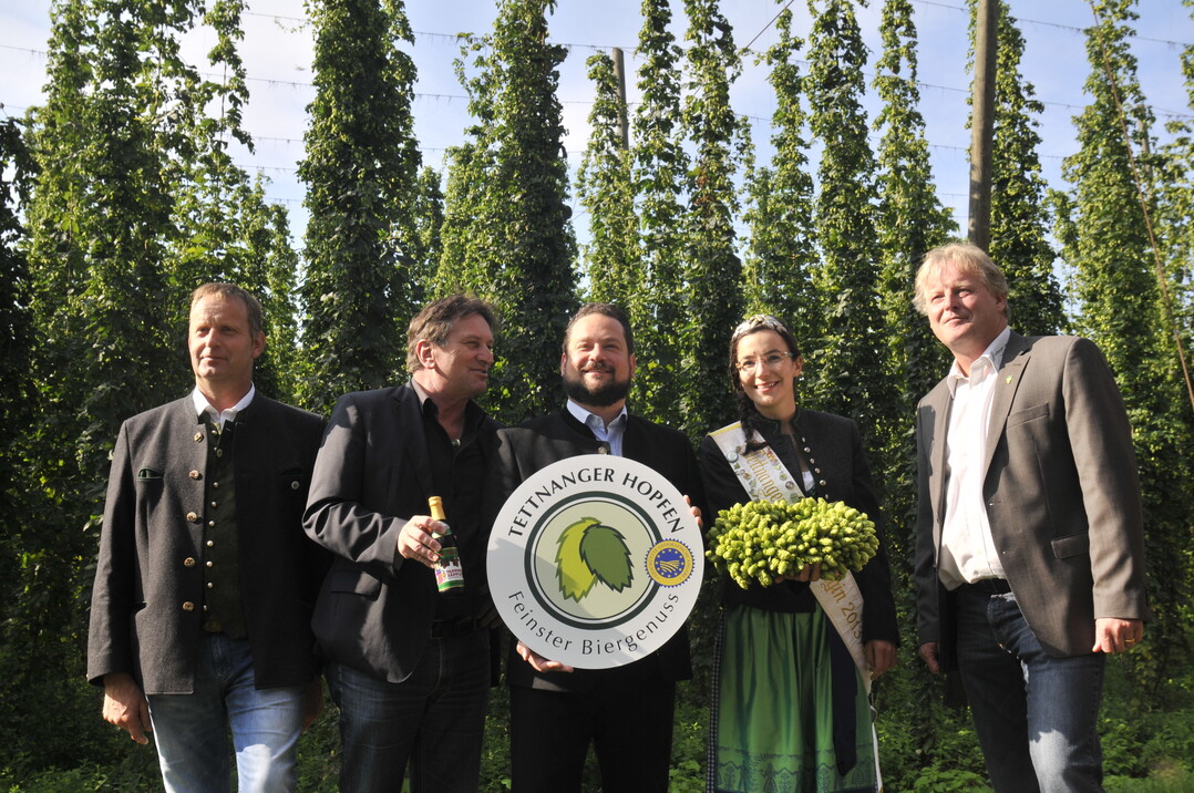 Auf dem Versuchsgut Strass: (v. l.) Wolfgang Ruther, Vorsitzender im Hopfenpflanzerverband Tettnang freut sich über den Besuch von Manfred Lucha, MdL, und Landwirtschaftsminister Alexander Bonde. Mit dabei Hopfenkönigin Jutta Häfele und Verbandsgeschäftsführer Jürgen Weishaupt.