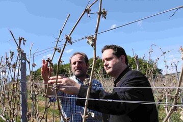Bleibt der Regen aus, treiben auch die Beiaugen nicht mehr aus, schildert Winzer Hubert Benz (links) in Beckstein Minister Bonde die Situation in seinem schwer geschdigten Weinberg nach dem Frost.
