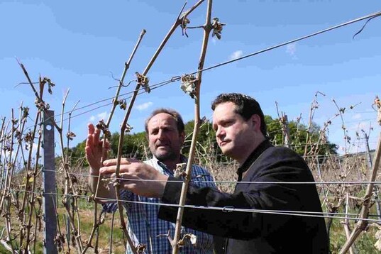 Bleibt der Regen aus, treiben auch die Beiaugen nicht mehr aus, schildert Winzer Hubert Benz (links) in Beckstein Minister Bonde die Situation in seinem schwer geschdigten Weinberg nach dem Frost.
