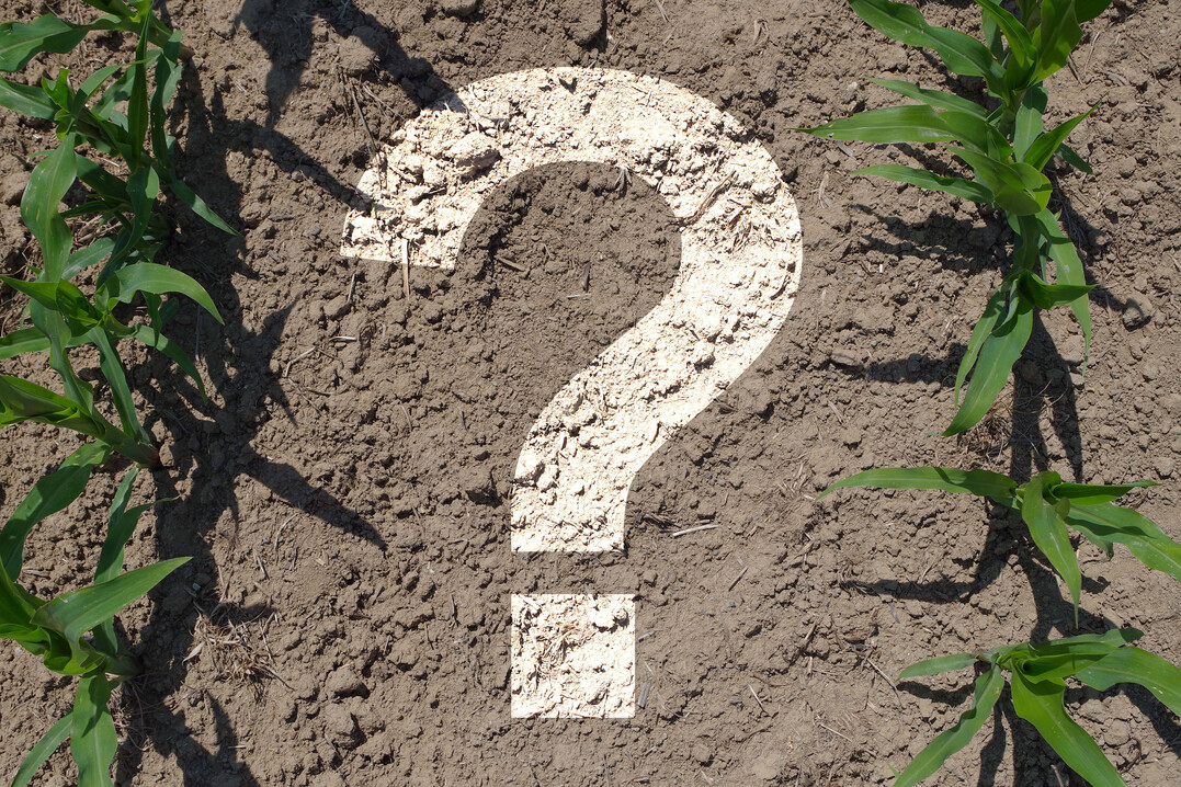 Welchen Teil des Bodenhumus kann man durch Bewirtschaften beeinflussen? Inwiefern ist eine Humussteigerung berhaupt mglich?