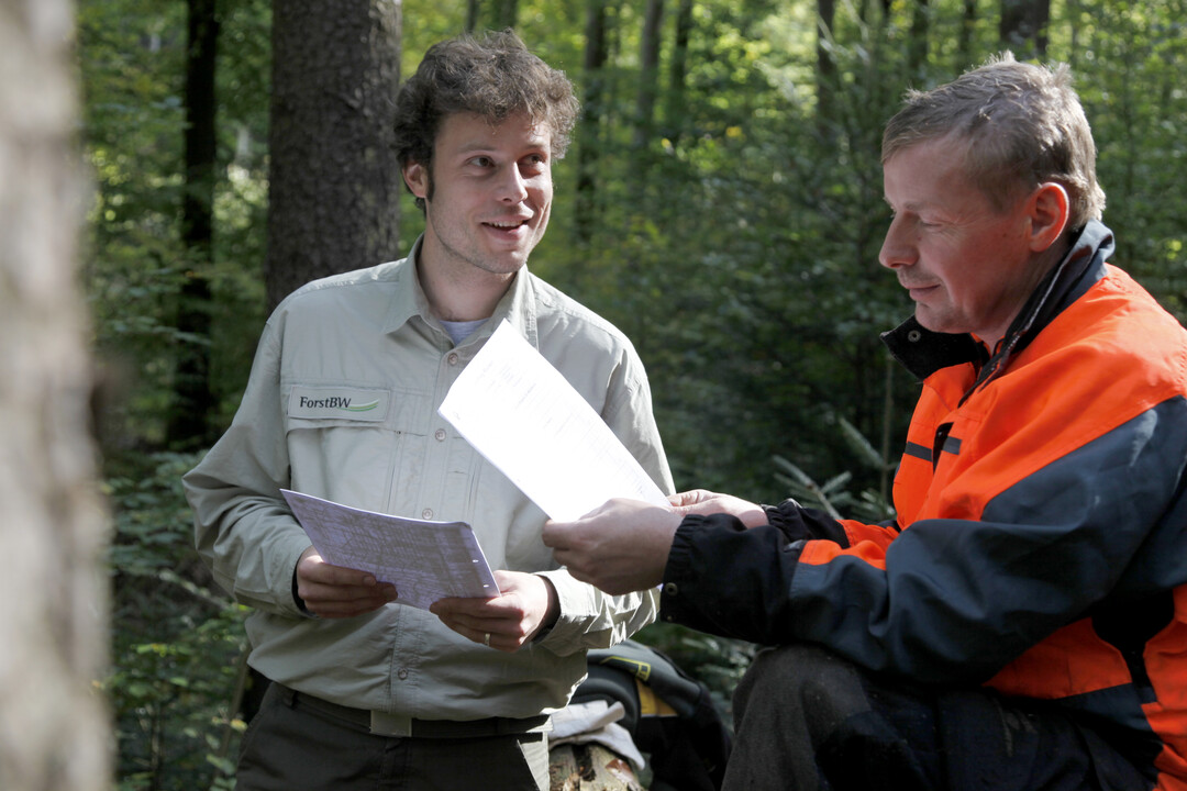 Beratung im Privatwald