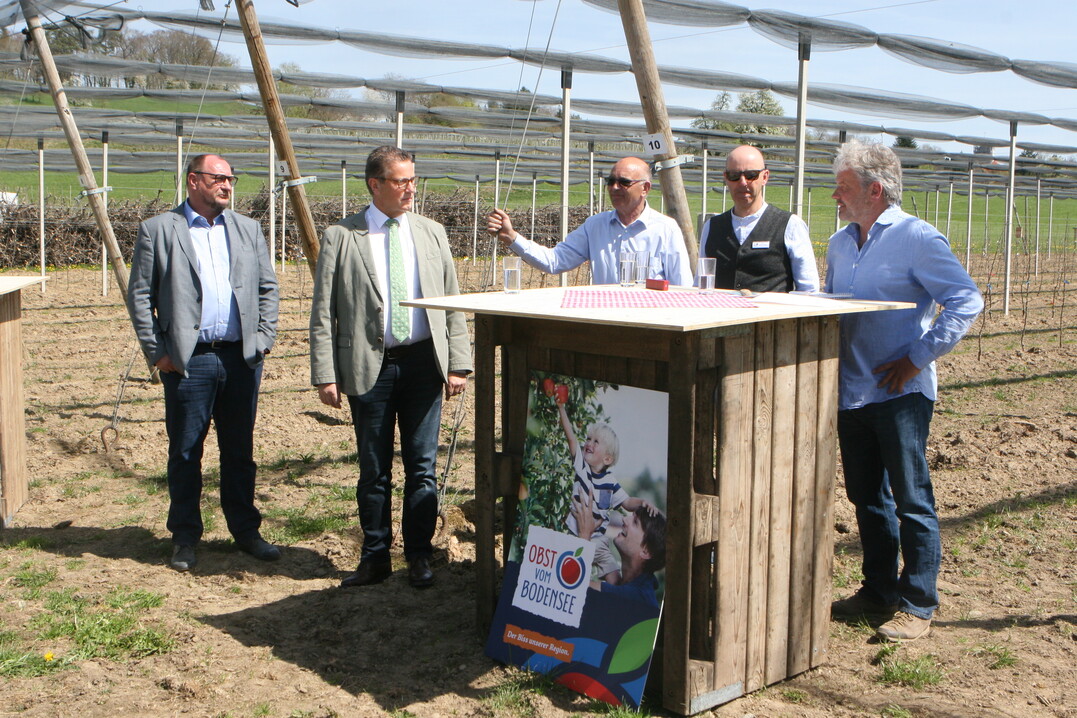 An der Modellanlage zur Prfung resistenter Sorten unter Praxisbedingungen hob Landwirtschaftsminister Hauk (2. v. l.) auf die Bedeutung des Projekts als wichtigen Schritt zur Zukunftssicherung des Obstbaus am Bodensee ab.