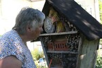 Gartenfahrt-Leiterin Rita Goller will genau wissen, was im Insektenhotel steckt.